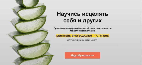 Целитель Эры Водолея - 1 Ступень (Александр Ивчик)