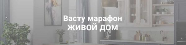 Васту марафон Живой дом (Екатерина Сидягина)