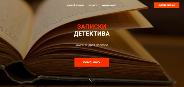 Записки детектива (Андрей Волков)
